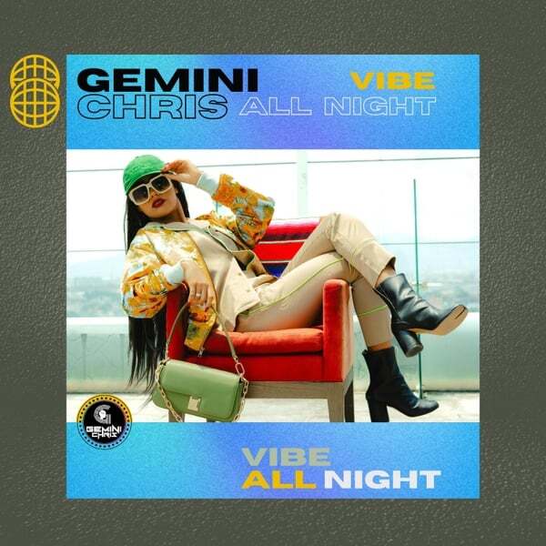 Cover art for Vibe All Night